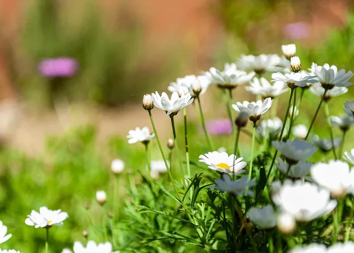 Διαμέρισμα Paradiso Marino *