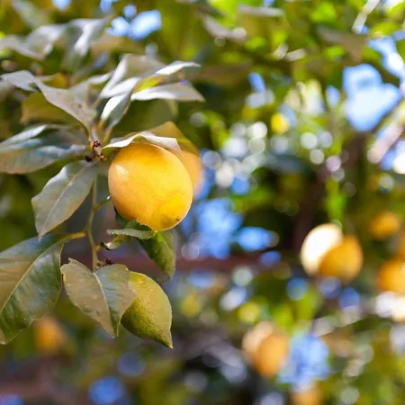 Paradiso Marino شقة
