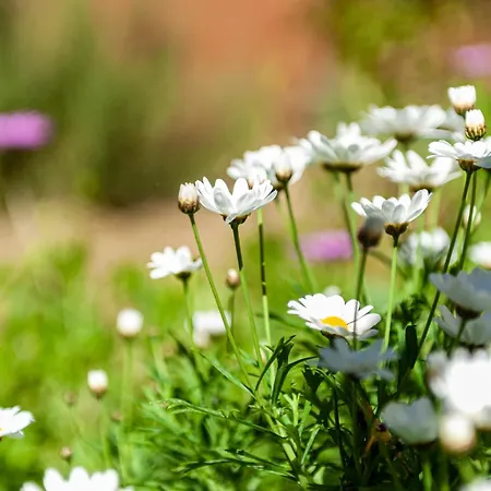 شقة Paradiso Marino *