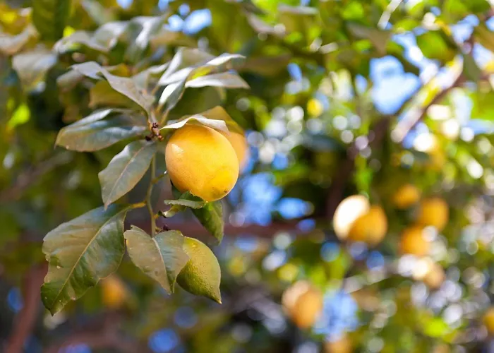 Paradiso Marino Апартаменты